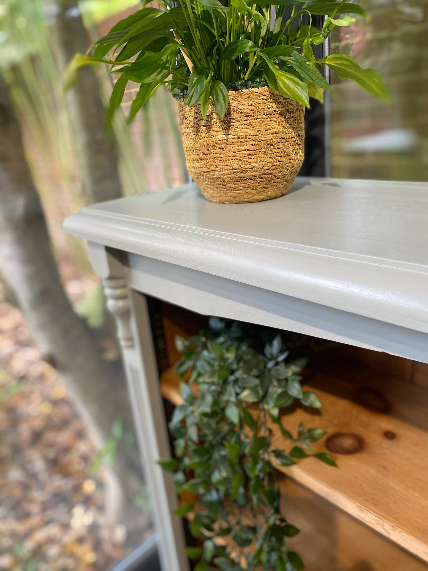 Hand Painted Wide Bookcase